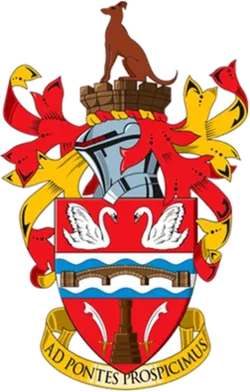 Stainestown-team-logo