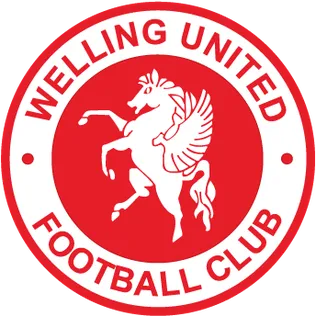WellingUnited-team-logo